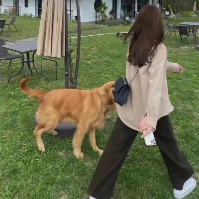 粉红女郎