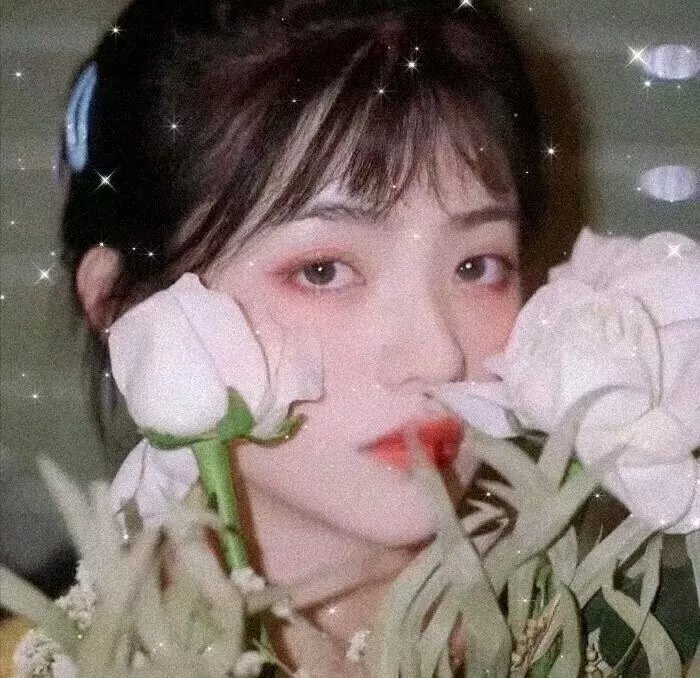 蜻蜓少年